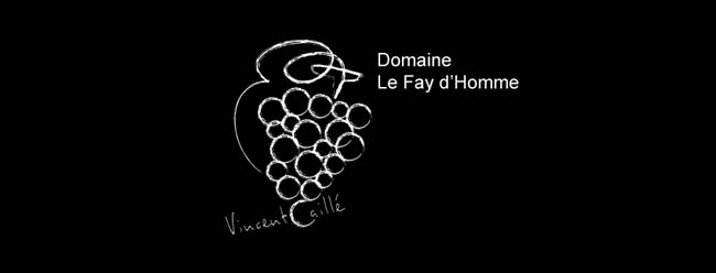 Logo partenaire Domaine Le Fay d'Homme Vincent Caillé Monnières Vins Bio